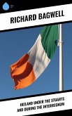 Ireland under the Stuarts and During the Interregnum (eBook, ePUB)