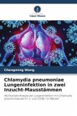 Chlamydia pneumoniae Lungeninfektion in zwei Inzucht-Mausstämmen