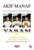 Yasam Nedir ve Nasil Doyasiya Yasanir