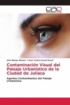 Contaminación Visual del Paisaje Urbanístico de la Ciudad de Juliaca - Quispe Mamani, Uriel;Sucari Sucari, Yanet Violeta