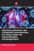 Infecção pulmonar por Chlamydia pneumoniae em duas cepas de camundongos consanguíneos