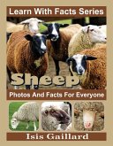 Sheep Photos and Facts for Everyone (Learn With Facts Series, #95) (eBook, ePUB)