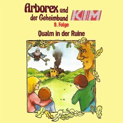 09: Qualm in der Ruine (MP3-Download) - Immen, Erika; Hellmann, Fritz