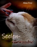 Seelenverwandte (eBook, ePUB)