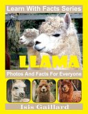 Llama Photos and Facts for Everyone (Learn With Facts Series, #88) (eBook, ePUB)