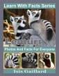 Lemurs Photos and Facts for Everyone... - Bild 1