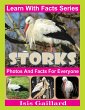 Storks Photos and Facts for Everyone... - Bild 1