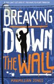 Breaking Down The Wall (eBook, ePUB)