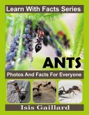Ant Photos and Facts for Everyone (Learn With Facts Series, #133) (eBook, ePUB)
