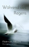 Während des Regens (eBook, ePUB)