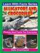 Alligators and Crocodiles Photos and... - Bild 1