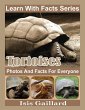Tortoises Photos and Facts for Everyone... - Bild 1