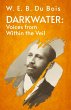 Darkwater Voices From Within The Veil - Bild 1
