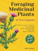 Foraging Medicinal Plants of New England