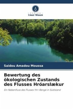 Bewertung des ökologischen Zustands des Flusses Hróarslækur - Amadou Moussa, Saidou