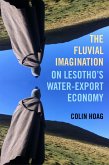 The Fluvial Imagination (eBook, ePUB)