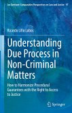 Understanding Due Process in Non-Criminal Matters (eBook, PDF)