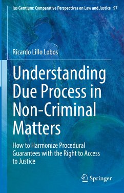 Understanding Due Process in Non-Criminal Matters (eBook, PDF) - Lillo Lobos, Ricardo