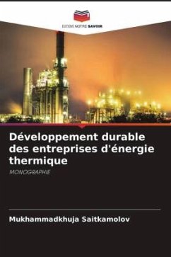 Développement durable des entreprises d'énergie thermique - Saitkamolov, Mukhammadkhuja