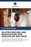 IN-VITRO-REIFUNG UND BEFRUCHTUNG VON EIZELLEN BEI DER ZIEGE