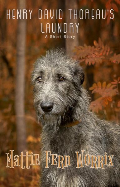 Henry David Thoreau's Laundry (eBook, ePUB)