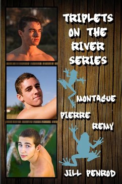 Cover Triplets on the River Series (eBook, ePUB)