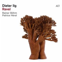 Ravel (Gatefold 180g Black 2lp) - Ilg,Dieter Trio