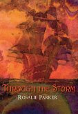 Through The Storm (eBook, ePUB)