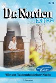 Wie aus Tausendundeiner Nacht (eBook, ePUB)