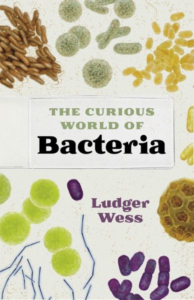The Curious World of Bacteria (eBook, ePUB) The Curious World of Bacteria (eBook, ePUB)