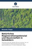 Natürliches Regenerationspotenzial und Baumvielfalt in Salwäldern