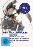Pier Paolo Pasolini Collection