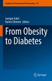 From Obesity to Diabetes (eBook, PDF)