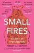 Small Fires (eBook, ePUB) - Bild 1