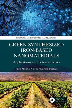 Green Synthesized Iron-based Nanomaterials (eBook, PDF) - Mondal, Piyal; Purkait, Mihir Kumar