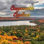 Comparable Captions (eBook, ePUB)