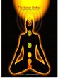 The Human Chakras (eBook, ePUB) - Bild 1
