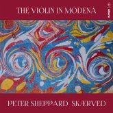 The Violin In Modena