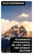 Wanderings in Patagonia; Or, Life Among... - Bild 1