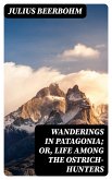 Wanderings in Patagonia; Or, Life Among the Ostrich-Hunters (eBook, ePUB)