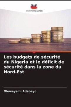 Les budgets de sécurité du Nigeria et le déficit de sécurité dans la zone du Nord-Est - Adebayo, Oluwayemi