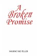 A broken Promise - Bild 1