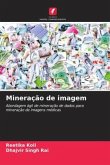 Mineração de imagem