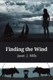 Finding the Wind