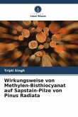 Wirkungsweise von Methylen-Bisthiocyanat auf Sapstain-Pilze von Pinus Radiata