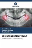 BEEINFLUSSTER MOLAR