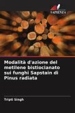 Modalità d'azione del metilene bistiocianato sui funghi Sapstain di Pinus radiata