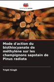 Mode d'action du bisthiocyanate de méthylène sur les champignons sapstain de Pinus radiata