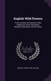 English Wild Flowers: To be Found by the Wayside, Fields, Hedgerows, Rivers, Moorlands, Meadows, Mountains, and Sea-shore