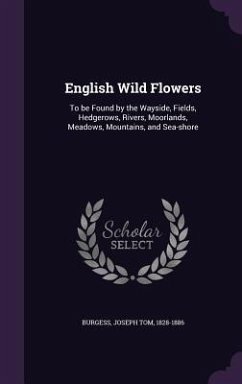 English Wild Flowers: To be Found by the Wayside, Fields, Hedgerows, Rivers, Moorlands, Meadows, Mountains, and Sea-shore - Burgess, Joseph Tom